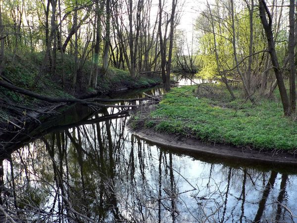Klaipėdos r. sav., Jakai