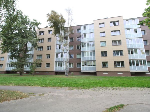Panevėžys, Klaipėda