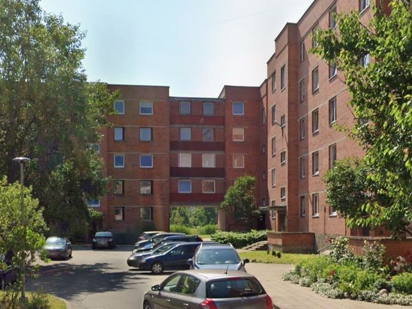 Klaipėda, Alksnynė
