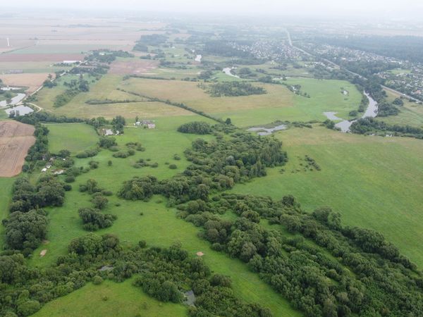 Kėdainių r. sav., Karūnava