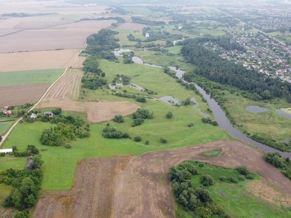 Kėdainių r. sav., Karūnava