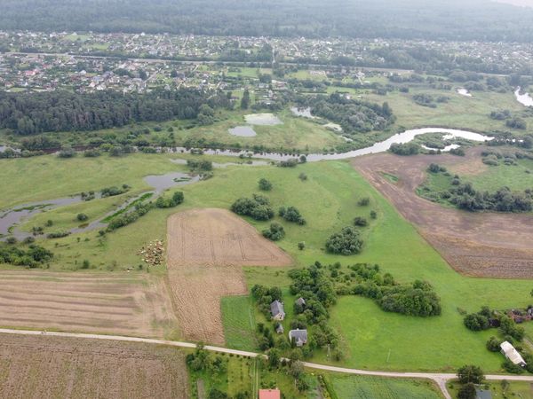 Kėdainių r. sav., Karūnava