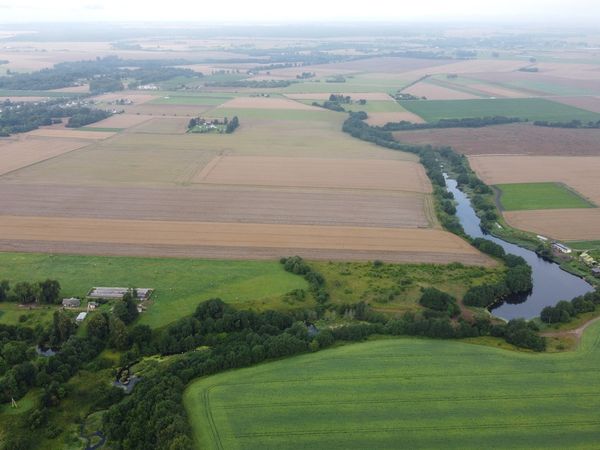 Kėdainių r. sav., Vainikai