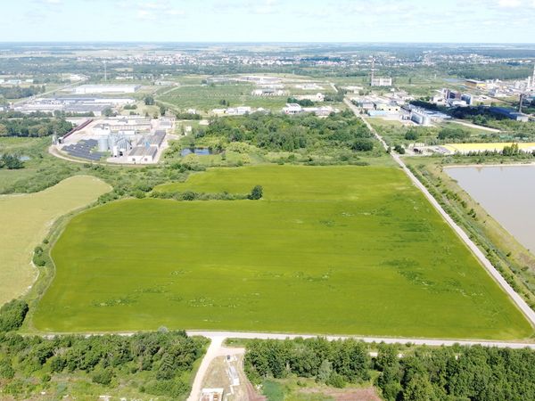 Kėdainių r. sav., Zabieliškis