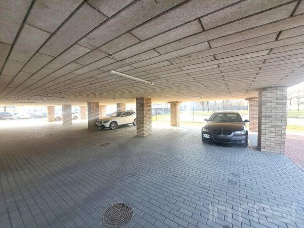 Kaunas, Dainava