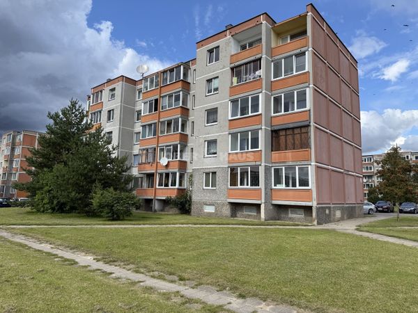 Šiauliai, Dainai