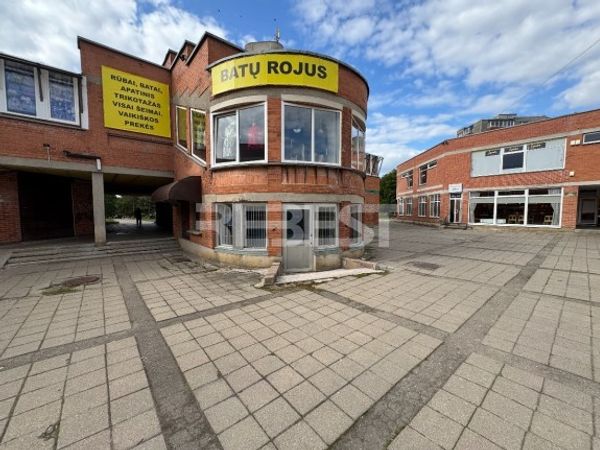 Šiauliai, Gytariai