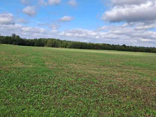 Kauno r. sav., Viršužiglis