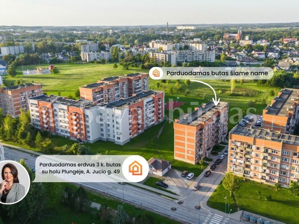 Plungės r. sav., Plungė