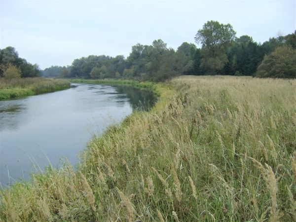 Ukmergės r. sav., Knitiškiai