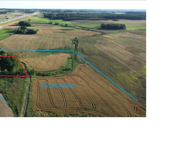 Kalvarijos sav., Naujienėlė