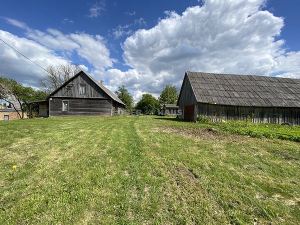 Kelmės r. sav., Šaukėnai