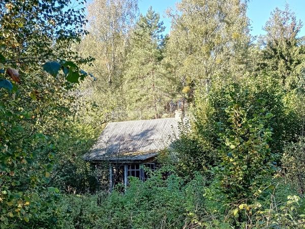 Druskininkų sav., Gailiūnai