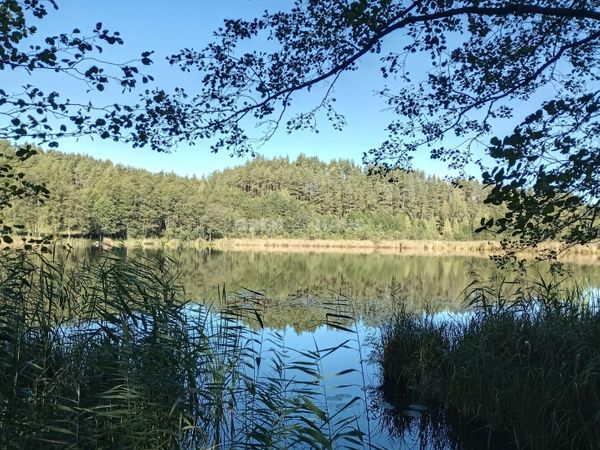 Druskininkų sav., Gailiūnai