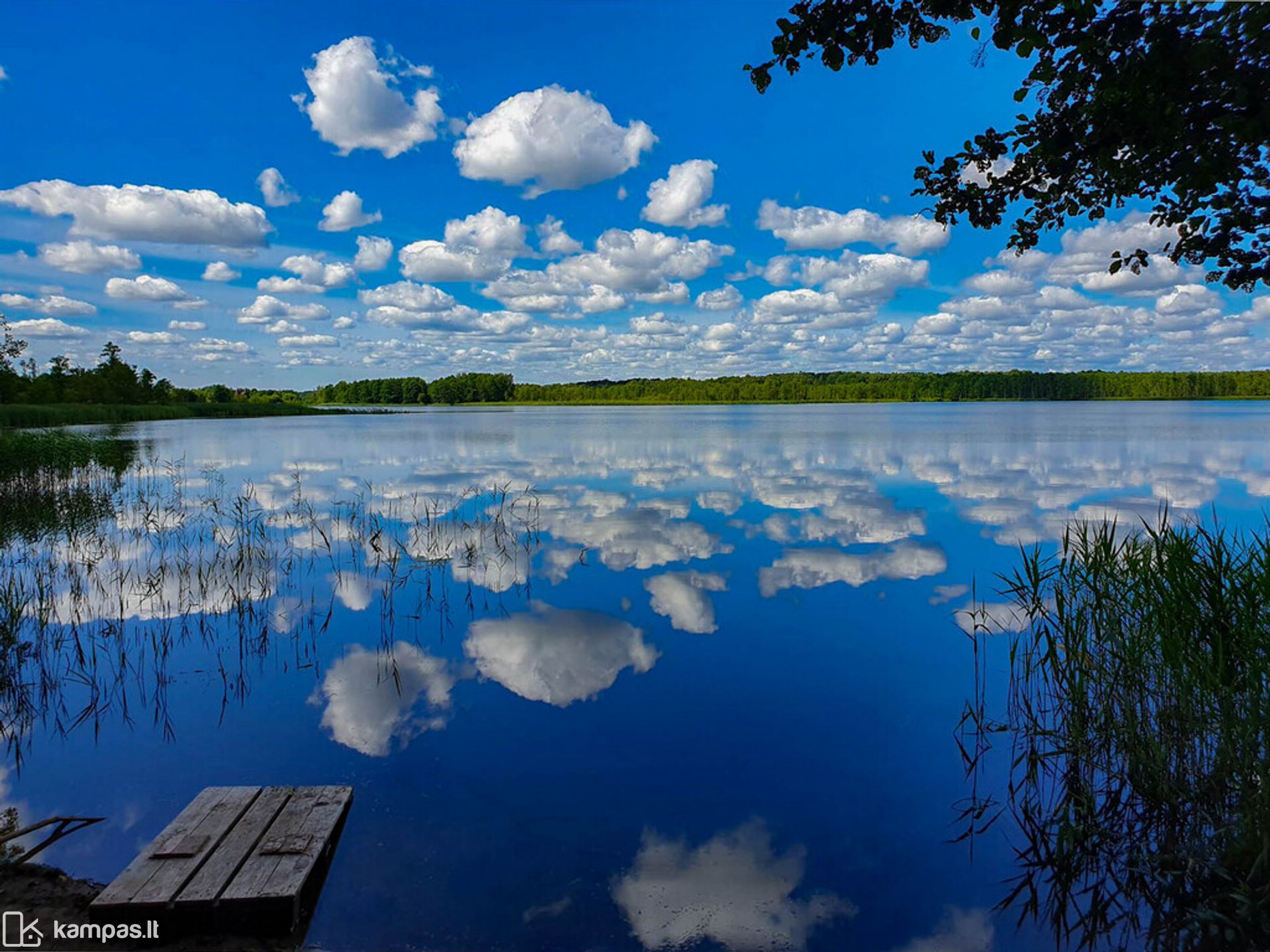Main Image Vilniaus r. sav., Glitiškės, Liepų al.