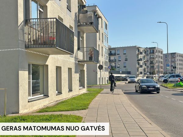 Vilnius, Baltupiai