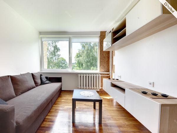 Vilnius, Žvėrynas