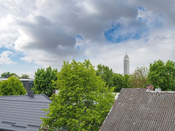 Kaunas, Žaliakalnis