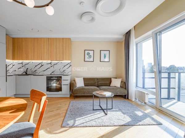 Vilnius, Šnipiškės