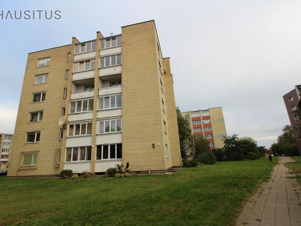 Panevėžys, Centras