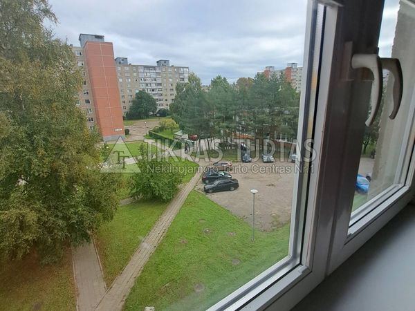 Klaipėda, Vingis