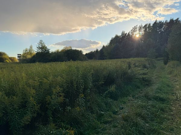 Kazlų Rūdos sav., Bundziškės