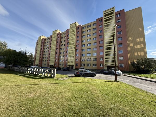 Šiauliai, Gytariai