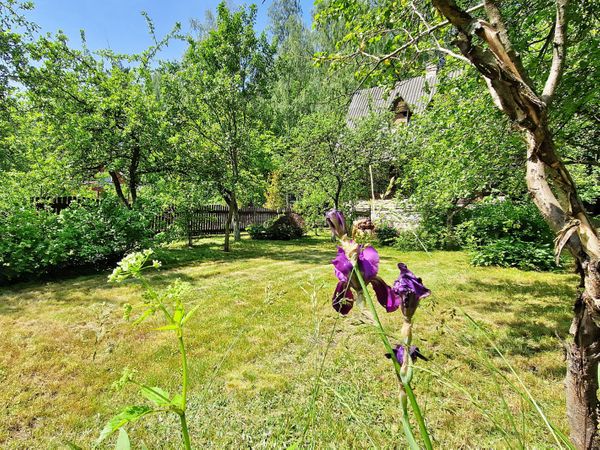 Vilniaus r. sav., Skirgiškės