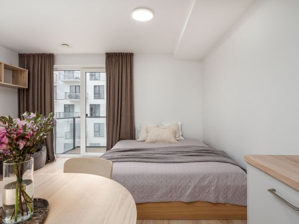 Vilnius, Naujamiestis