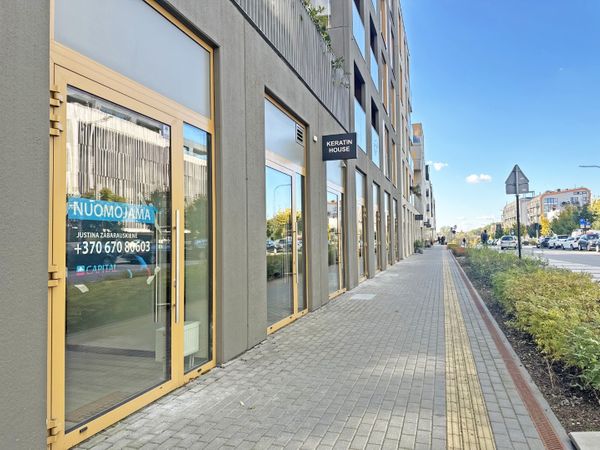 Vilnius, Markučiai