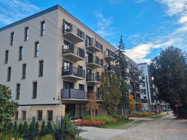 Vilnius, Šnipiškės