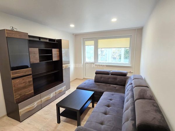 Panevėžys, Centras