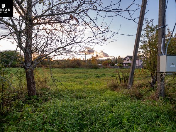 Vilnius, Salininkai
