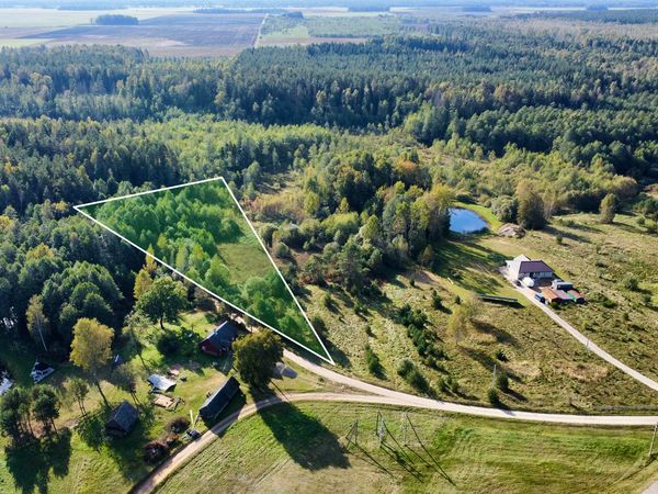 Trakų r. sav., Liepynai