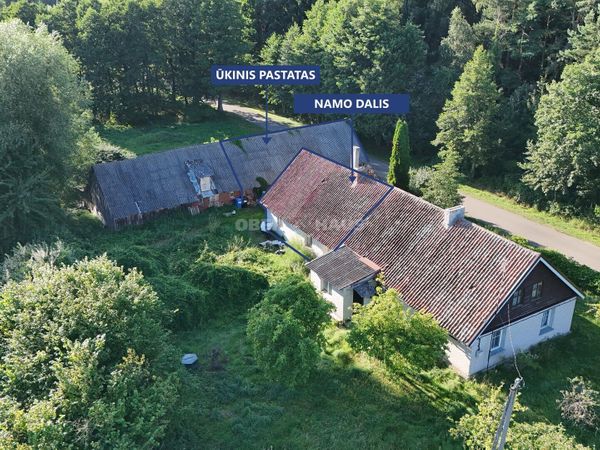 Šilutės r. sav., Kintai