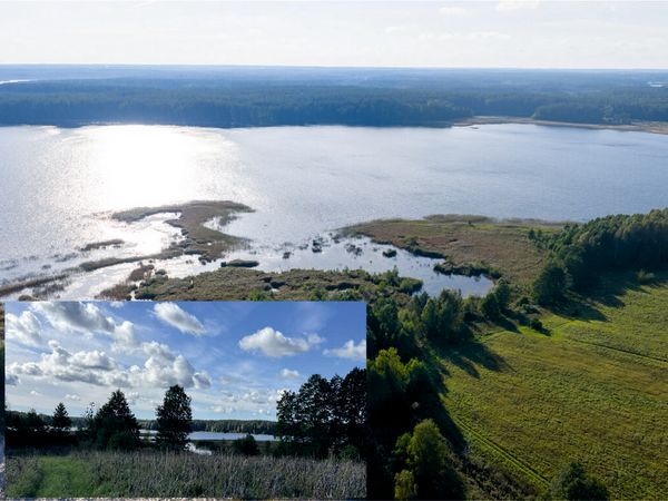 Molėtų r. sav., Arnionys II