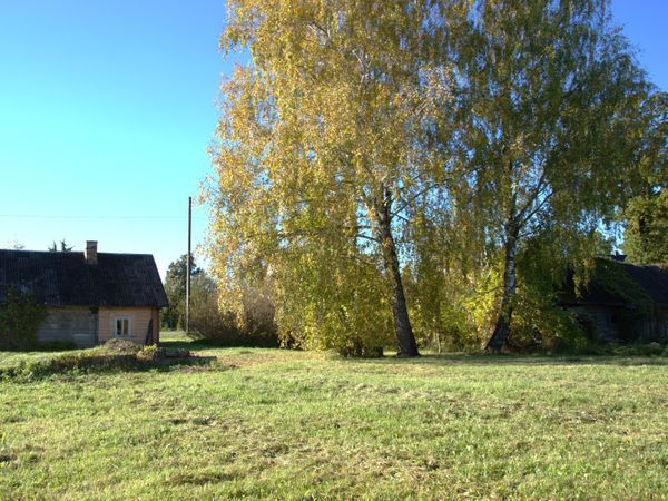 Radviliškio r. sav., Baisogala