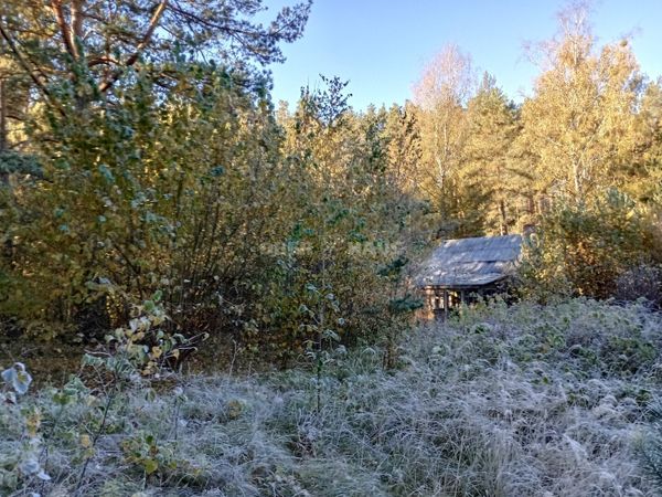 Druskininkų sav., Gailiūnai