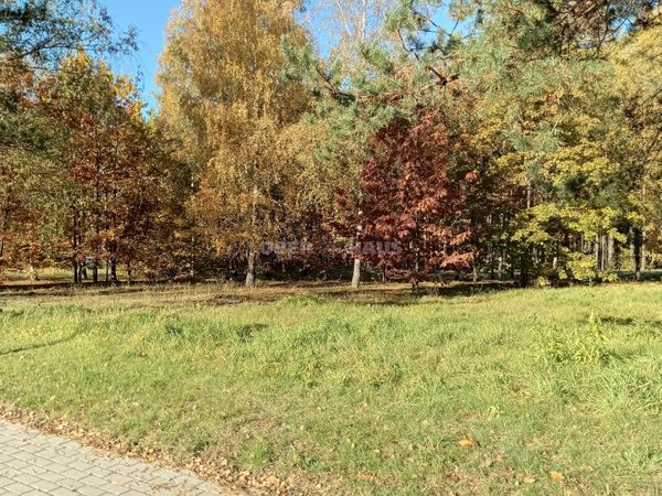 Druskininkų sav., Druskininkai