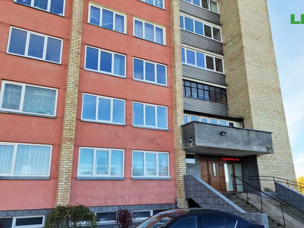 Panevėžys, Tulpės