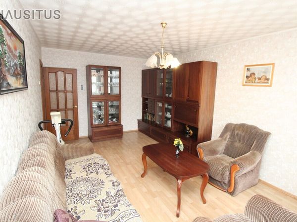 Panevėžys, Centras