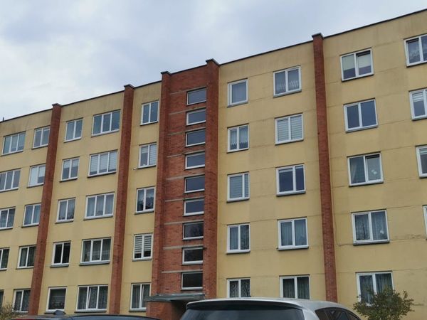 Panevėžys, Tulpės