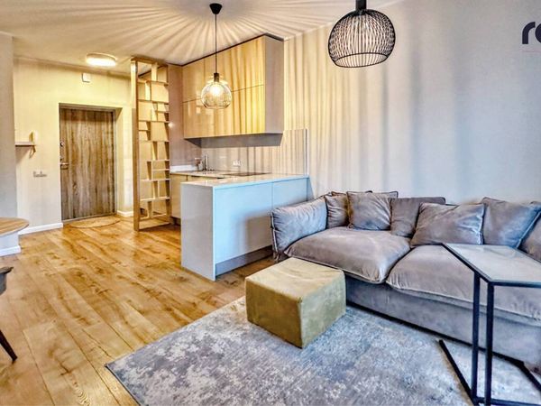 Vilnius, Šnipiškės