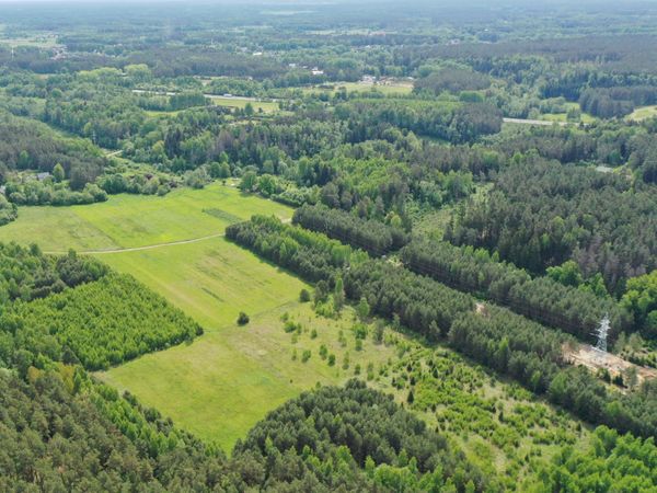 Jonavos r. sav., Varpiai