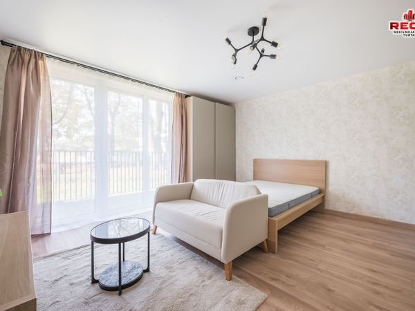 Vilnius, Naujamiestis