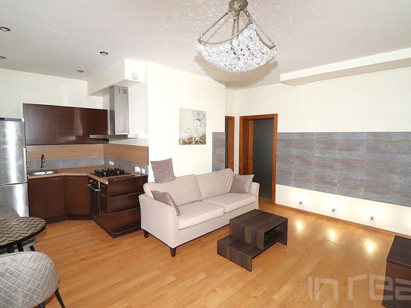 Panevėžys, Centras