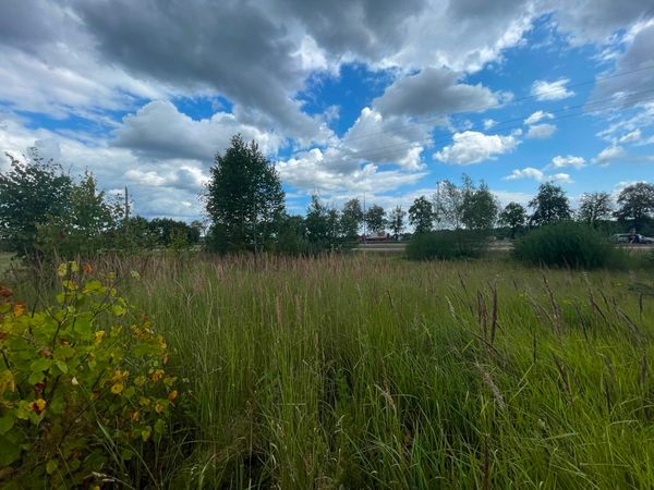 Jonavos r. sav., Išorai