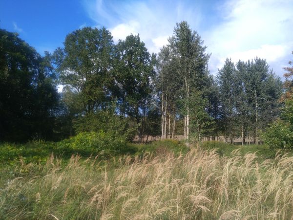Šakių r. sav., Pentviršiai