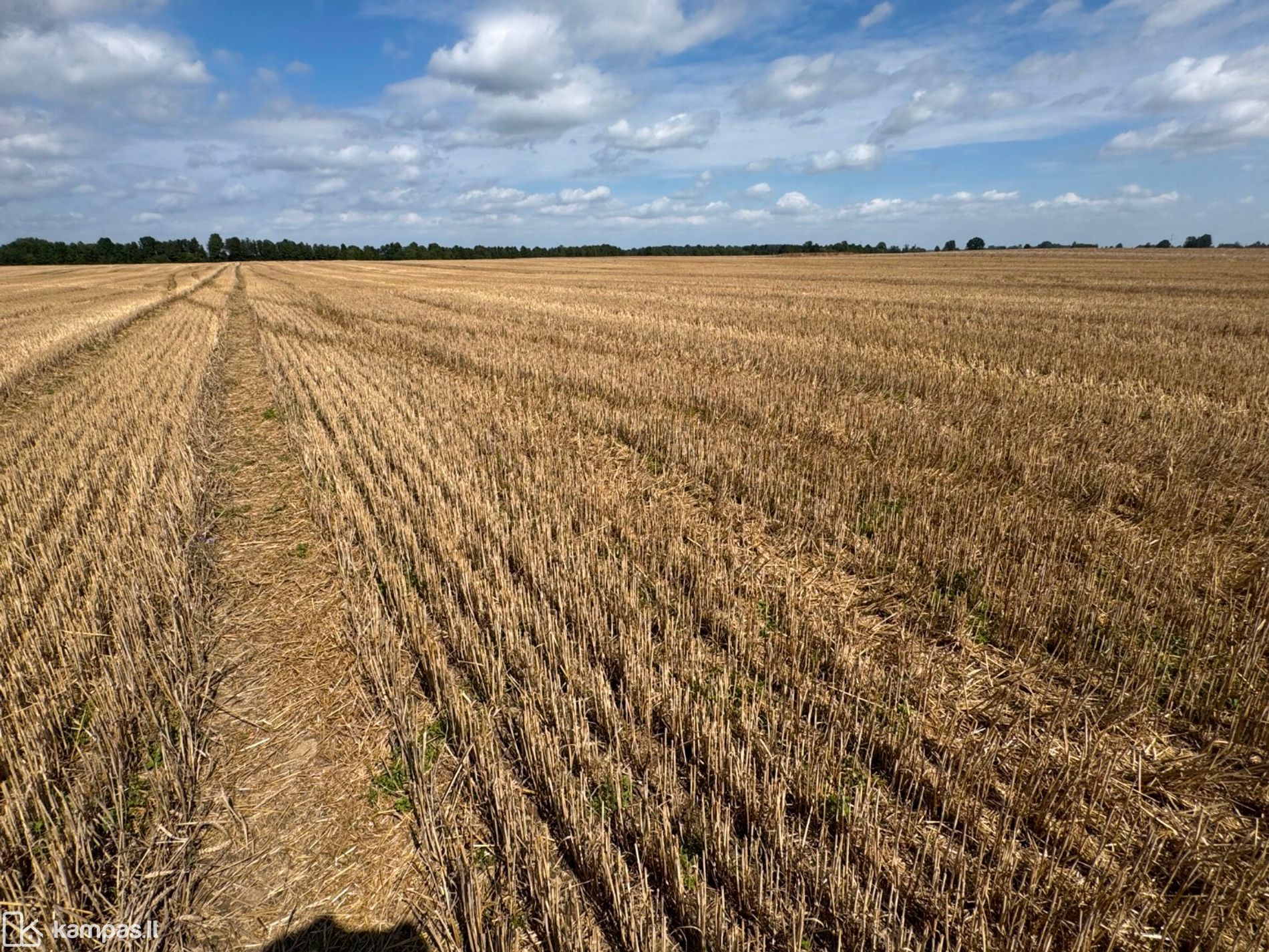Main Image Šakių r. sav., Panoviai