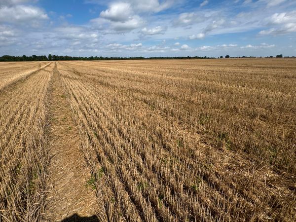 Šakių r. sav., Panoviai